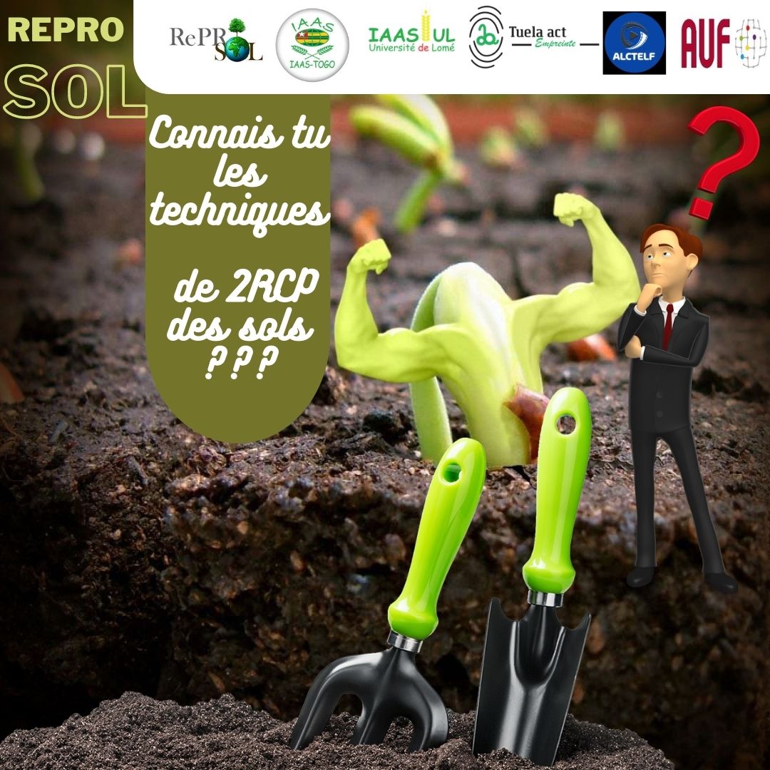 TuelaAct's tweet photo. Redonnons vie aux terres par l'appréhension et la maîtrise des techniques de 2RCP : Restauration, Réhabilitation, Conservation et Protection des sols. https://t.co/Svf8EUj5ux
