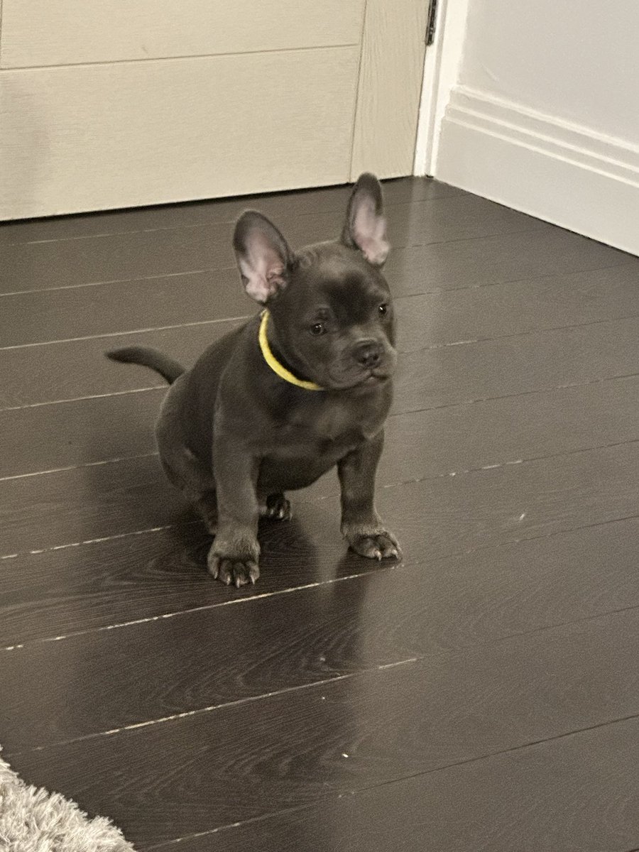 Kion wearing yellow today for Becker House <a href="/stlukesoldham/">St Luke's CE Primary</a>