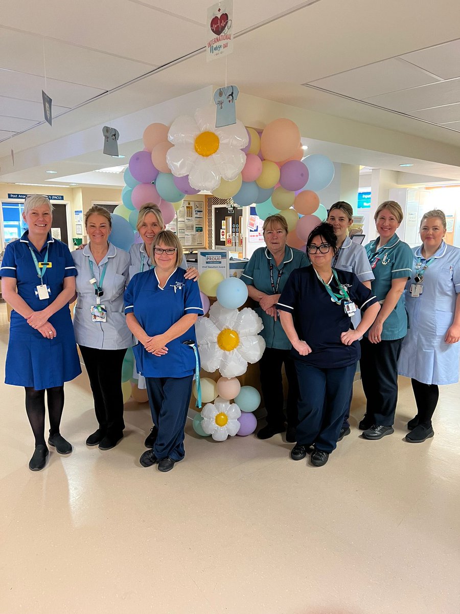 TeamDDWHH tweet media