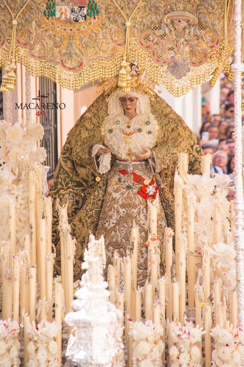Macareno40Angel's tweet photo. ¿Hay forma más bonita para dar las buenas noches, que deseando Esperanza para los que más la necesitan? @Hdad_Macarena @Macarenayamen @El_Pilatos @MadredeSevilla https://t.co/nG80vDJHtm