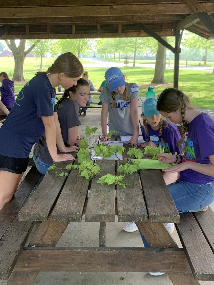 Jessica Nolan tweet media