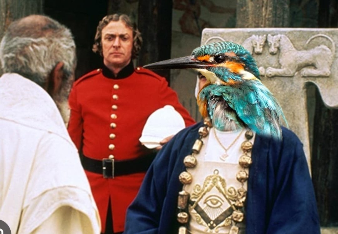 smc429's tweet photo. #AnimalsInBooks
The Man Who Would Be Kingfisher https://t.co/a7FK58rcVo
