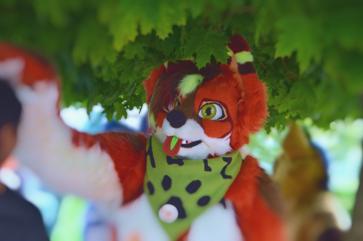 Phynnax's tweet photo. Fotos vom Suitwalk in Darmstadt am 06.05.2023

Fotos von:
@HuskySethy 
@FurryHutz 
@Werikane 

#furry #furries #fursuiter #FursuitFriday #Darmstadt #cute https://t.co/b37t6CTsh1