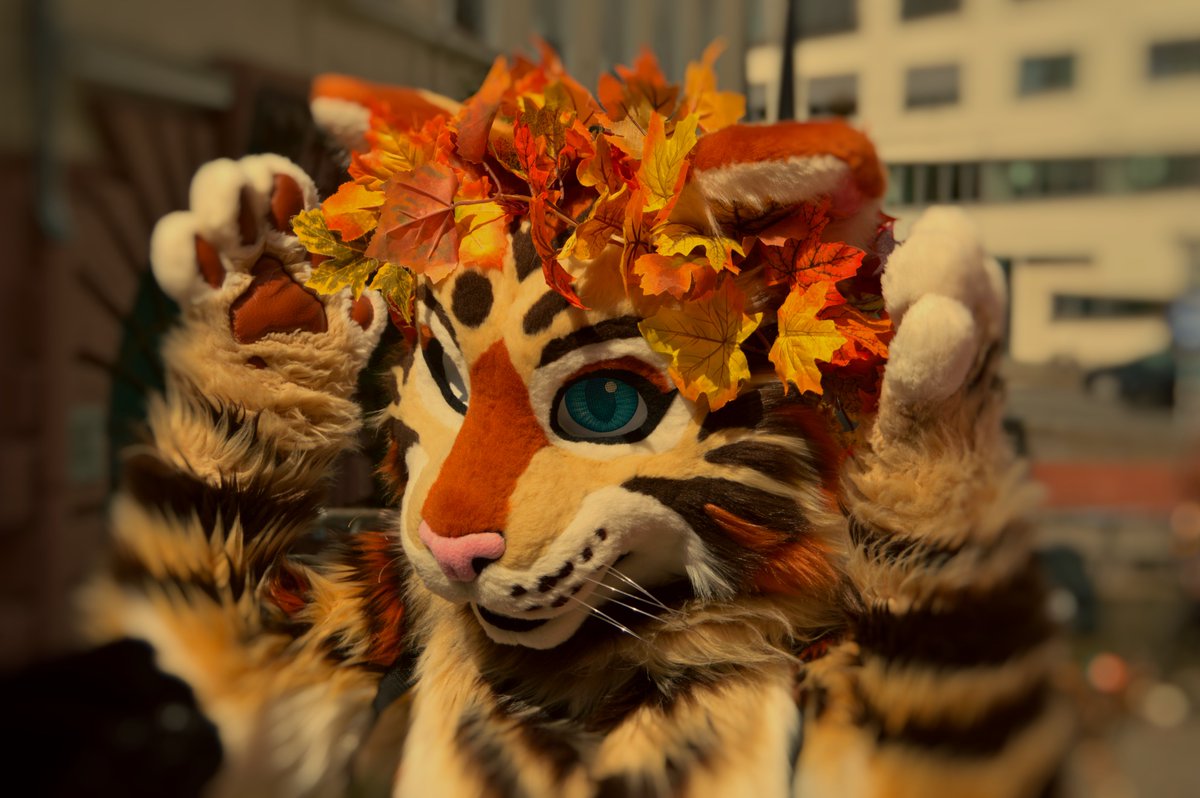 Phynnax's tweet photo. Fotos vom Suitwalk in Darmstadt am 06.05.2023

Fotos von:
@HuskySethy 
@FurryHutz 
@Werikane 

#furry #furries #fursuiter #FursuitFriday #Darmstadt #cute https://t.co/b37t6CTsh1