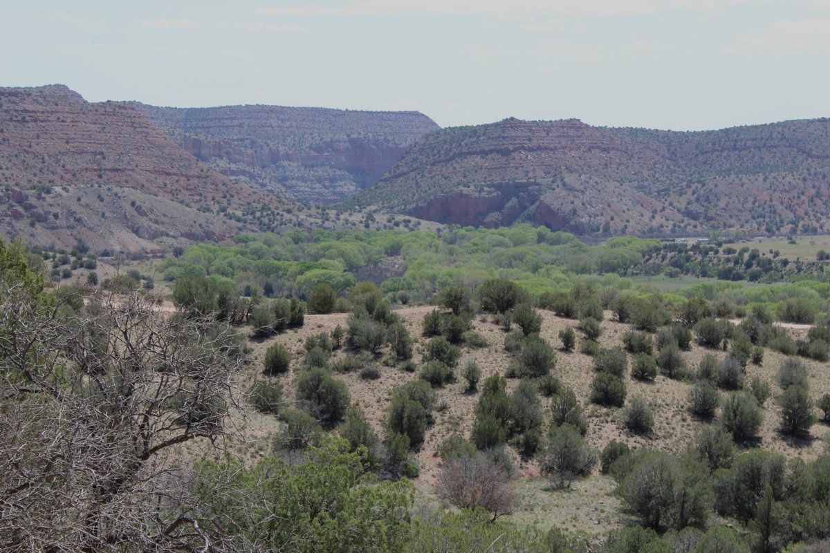 The view is a little hazy from the Perkinsville Road but the trees along the Verde River are bright green on a recent trip through Perkinsville.