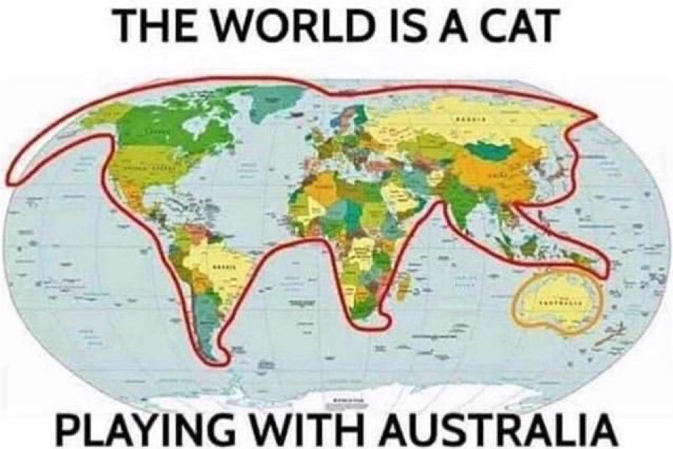 jaystowel's tweet photo. I love cats 🥰
#gold_gustin #cats https://t.co/PCVrLtmwdq