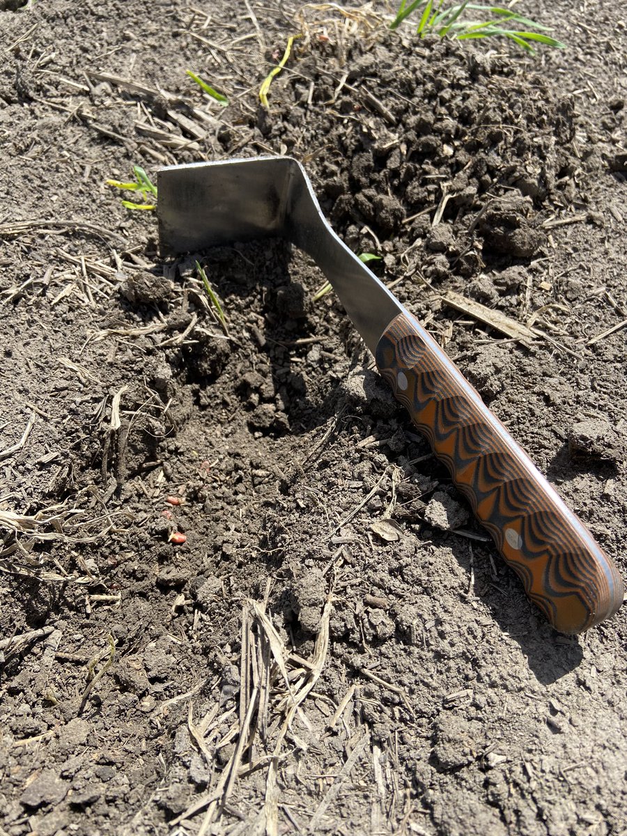 LyleJensen6's tweet image. Let’s do a photo contest! Winner gets one of my custom seed tools!
Post your best Seeding pictures from this year and tag and follow @Agroplus5 A winner will be selected next week.
#westcdnag #cdnag #AgTwitter #plant23 #contest #seeding