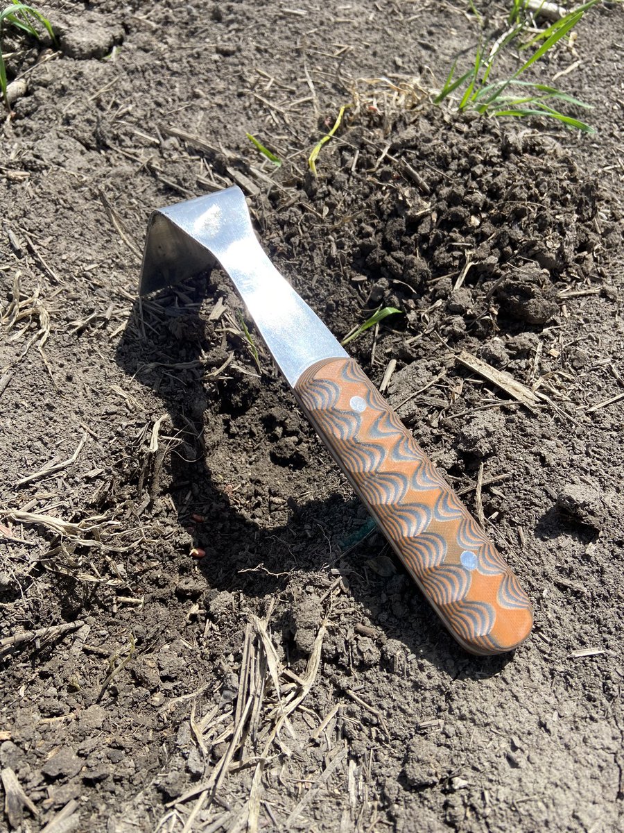 LyleJensen6's tweet image. Let’s do a photo contest! Winner gets one of my custom seed tools!
Post your best Seeding pictures from this year and tag and follow @Agroplus5 A winner will be selected next week.
#westcdnag #cdnag #AgTwitter #plant23 #contest #seeding