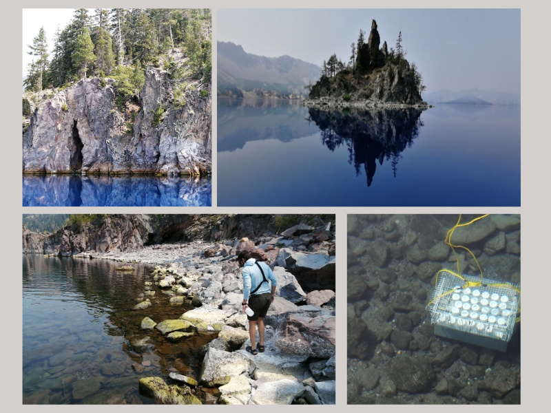 Carina Seitz tweet media