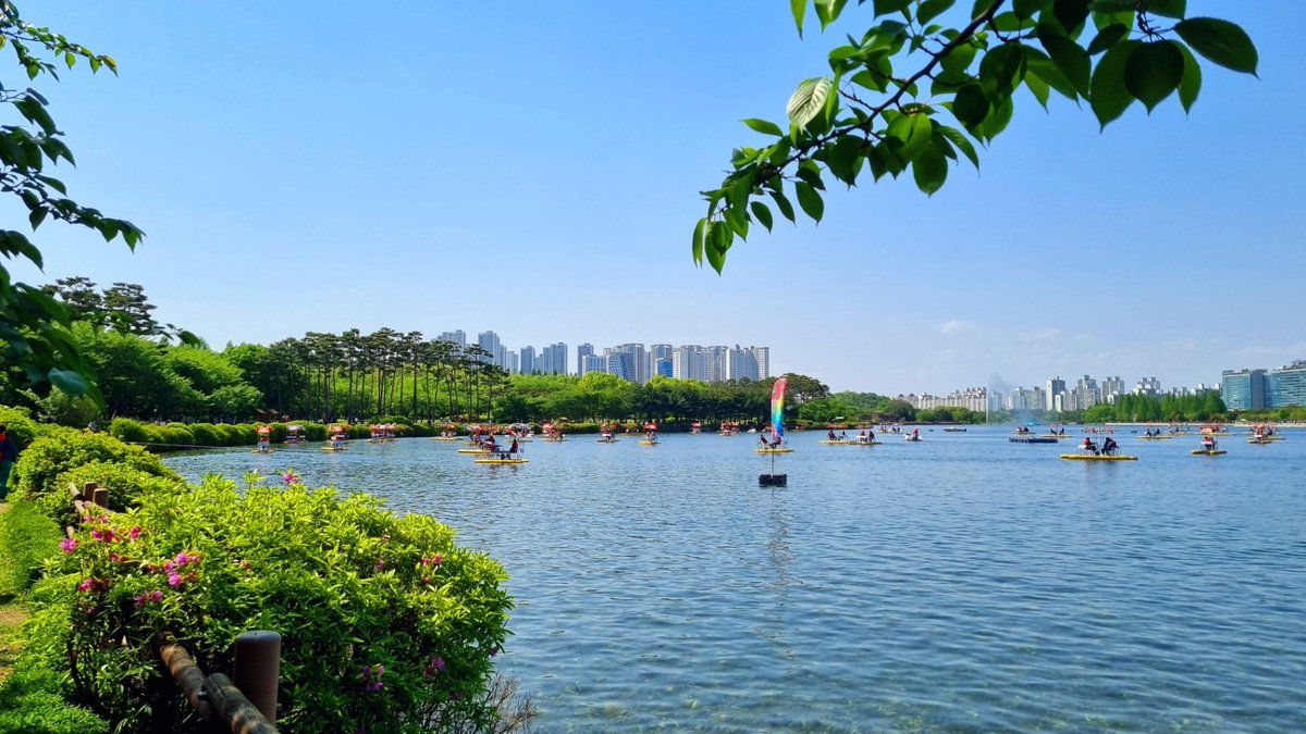 김경현 (@kimgyunghyun) on Twitter photo 