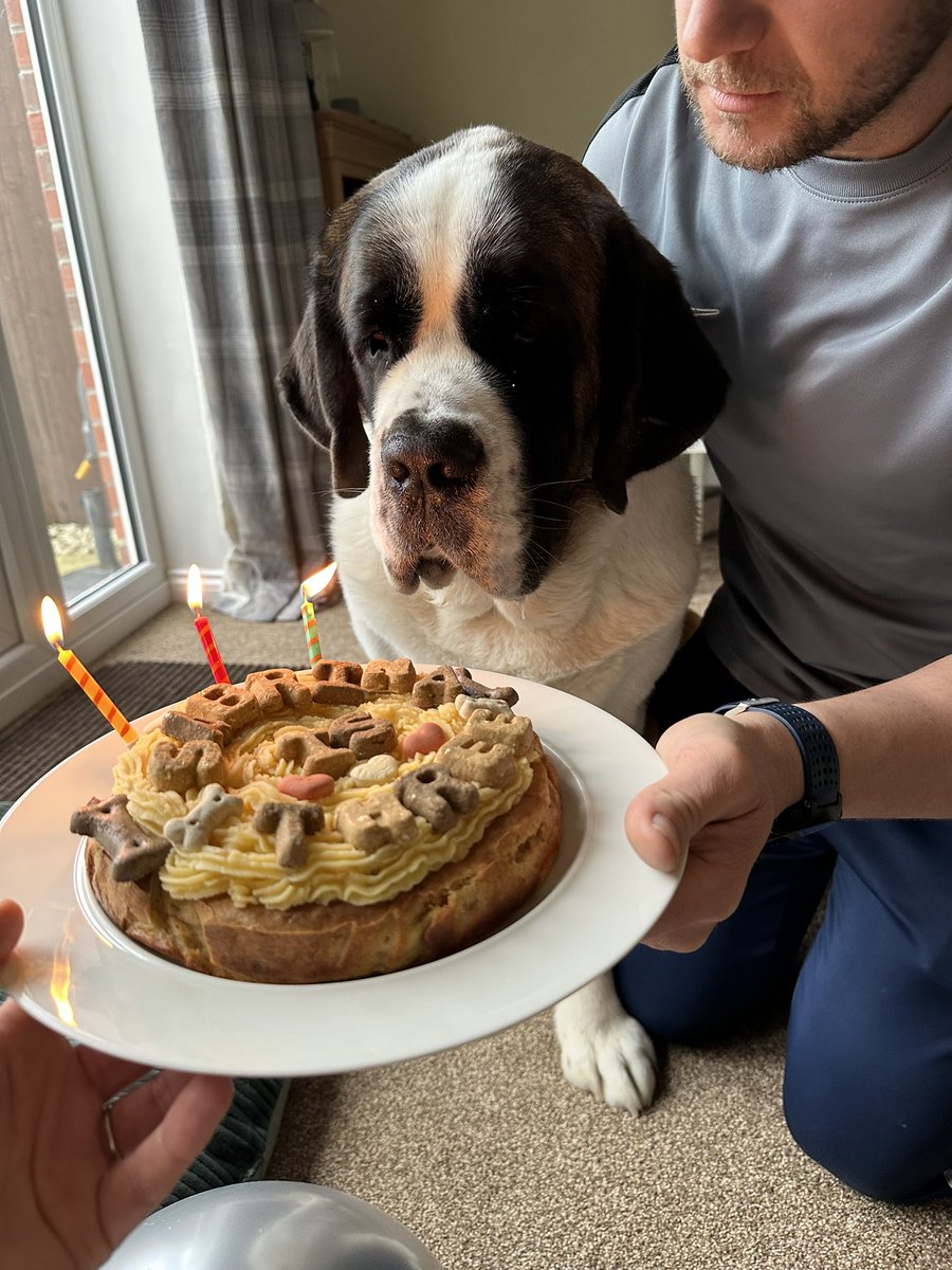 lauraclarke_rd's tweet photo. Birthday girl ππππππ #3today https://t.co/vGjHZrJLaf