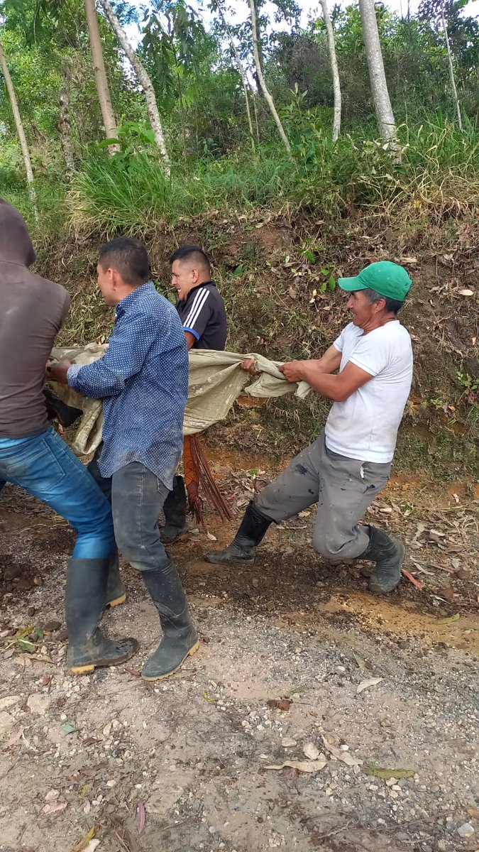 ComunesCoL's tweet photo. Qué bonito el poder de la gente organizada, estas inciativas deben ser fortalecidas y escuchadas por el Estado. Nació comité pro-vía en Sotará #Cauca, firmantes de paz coordinando y articulando con campesinos e indígenas de Río Blanco. Trabajo comunitario por la #NuevaColombia 🇨🇴 https://t.co/342qVyO90c