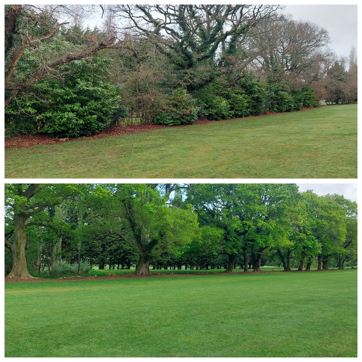 KeepingGreens88's tweet photo. After a very wet start to the season, we're finally starting to see the back of the rain and finally seeing all the hard work is paying off. The course is coming on nicely and the tree work done over the winter is really making the difference! https://t.co/XyYCaLfMAY