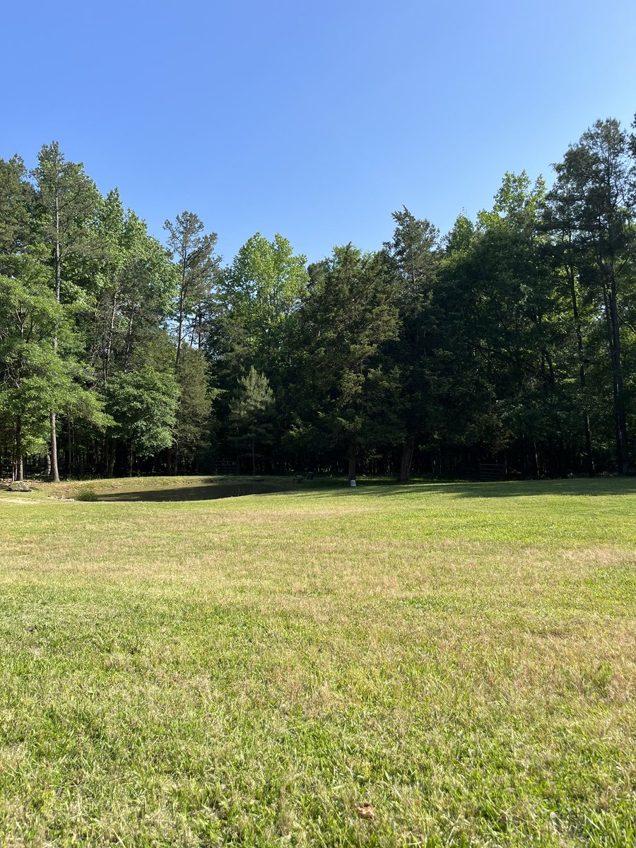 JustAFarmGirl tweet media