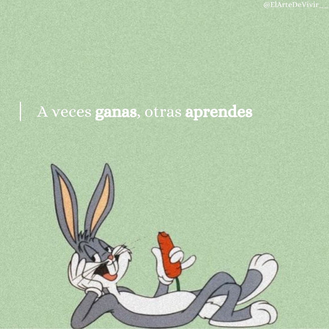 ElArteDeVivir__'s tweet photo. 6. https://t.co/jfgsc4erqd