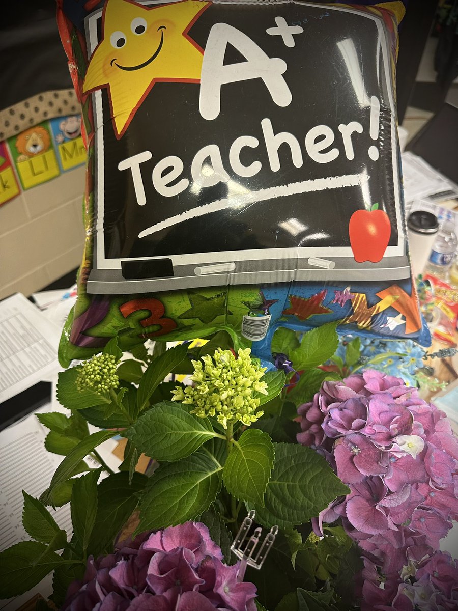 GeeterSchool's tweet image. At Geeter K-8 we have nothing BUT, A+ teachers, educators, and mentors that support the growth and blossoming of our students. The Admin Team, our parents, and our students appreciate your life’s dedication to serving our village. THANK YOU!! 🌼🌻🌷🌺🌸🪻🌹💐