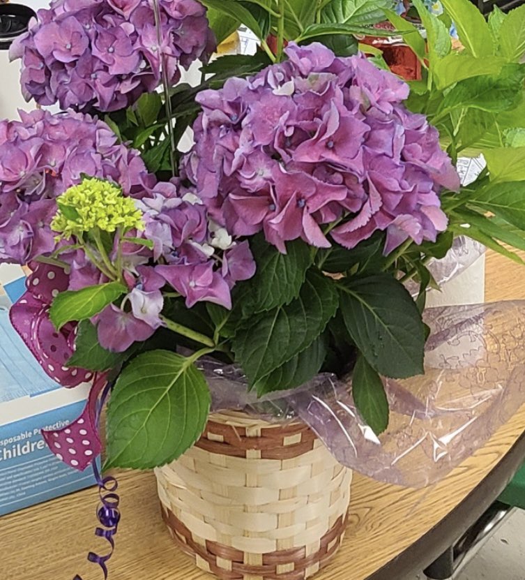 GeeterSchool's tweet image. At Geeter K-8 we have nothing BUT, A+ teachers, educators, and mentors that support the growth and blossoming of our students. The Admin Team, our parents, and our students appreciate your life’s dedication to serving our village. THANK YOU!! 🌼🌻🌷🌺🌸🪻🌹💐