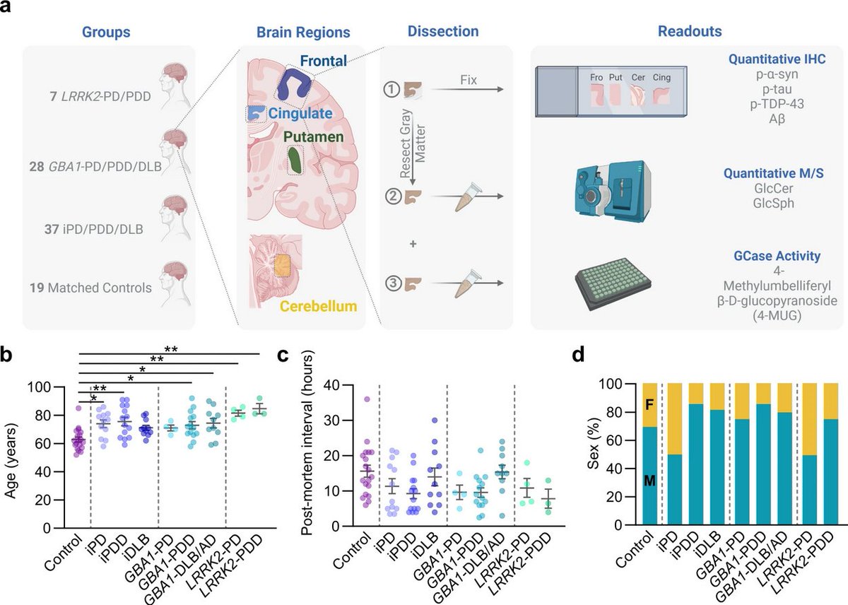 New research from <a href="/MXHend/">Michael Henderson</a> &amp; colleagues examined quantitative protein pathology, glucocerebrosidase activity &amp; lipid substrates in parallel, across 4 regions of 91 brains with no neurological disease, idiopathic, GBA1-linked, or LRRK2-linked #Parkinsons
nature.com/articles/s4153…