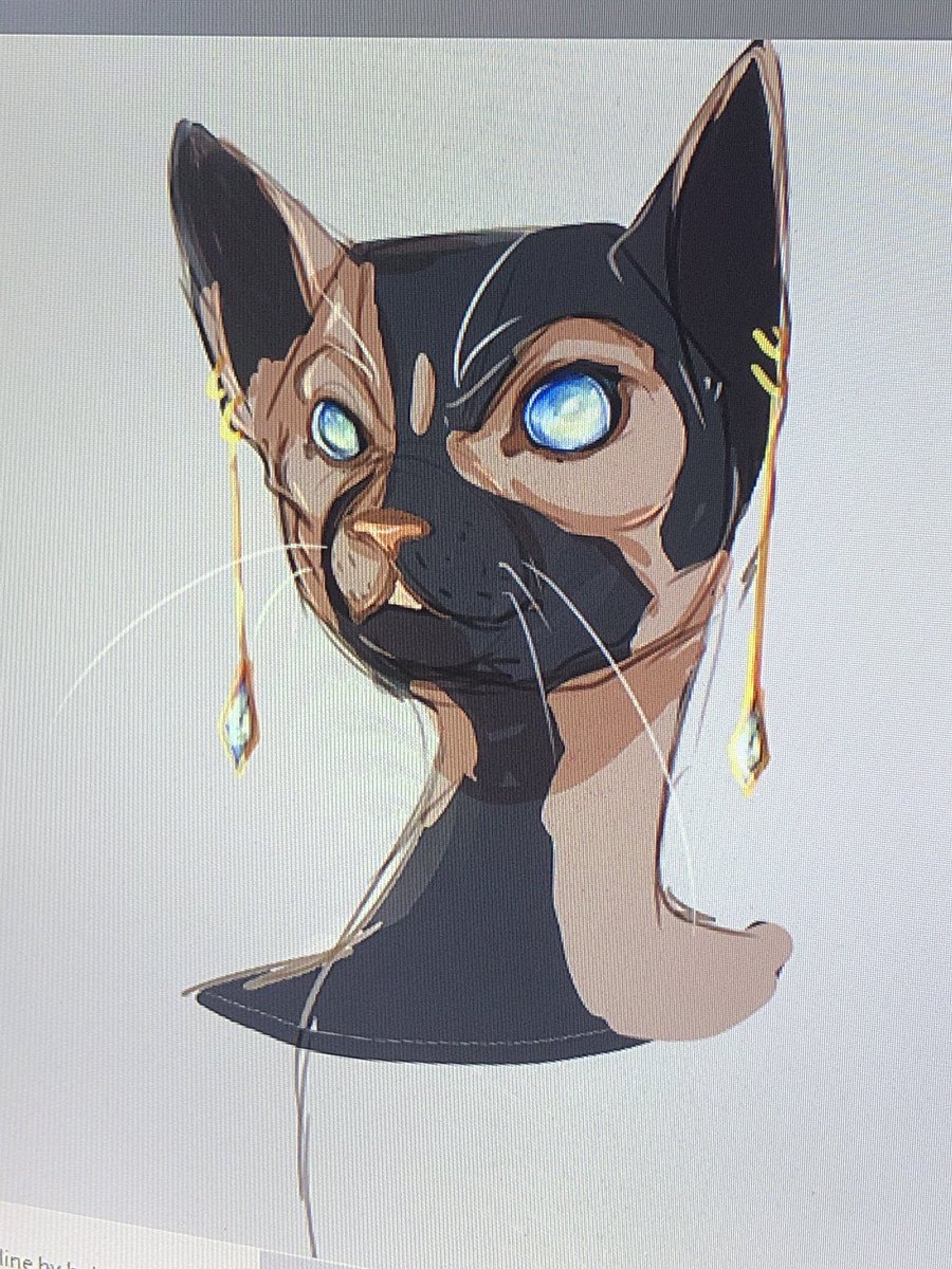 HyperRedFennex's tweet photo. https://t.co/HA3iy8eDpS