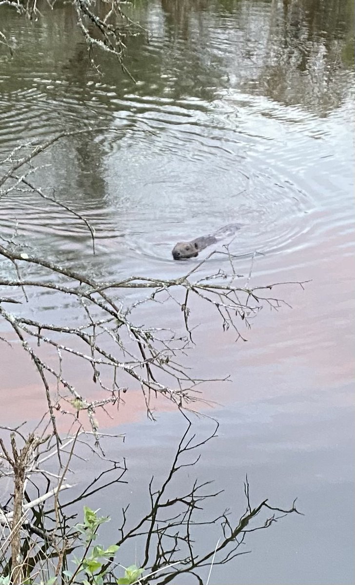 @WarminsterESS tweet media