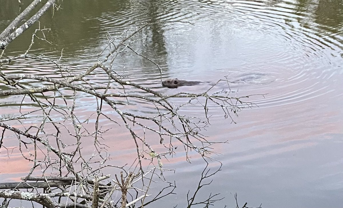 @WarminsterESS tweet media