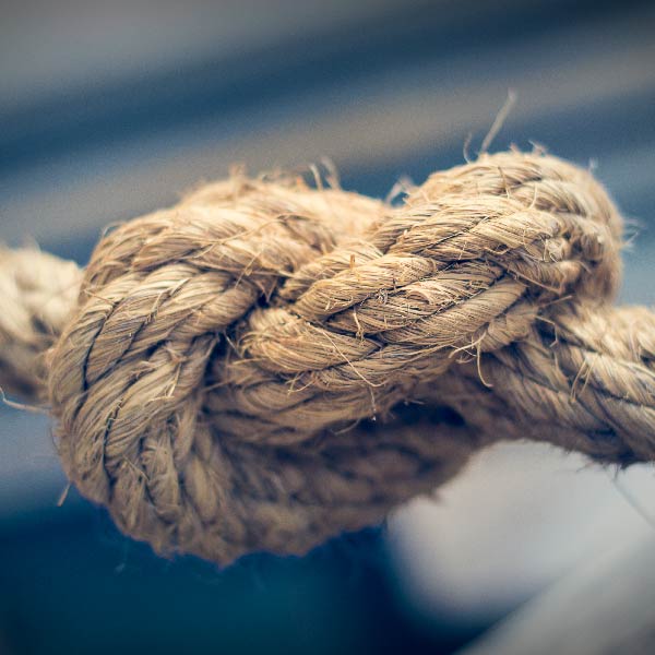 Consultatio Financial Services tweet media