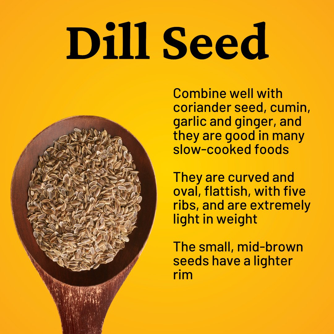 Dill seed has graced kitchens for centuries, enchanting palates with its flavor. It enhances marinades, pickles, and seafood dishes, dill seed adds a zesty twist to every bite. Unlock its full potential by freshly grinding dill seed with the FinaPod Pro Plus.