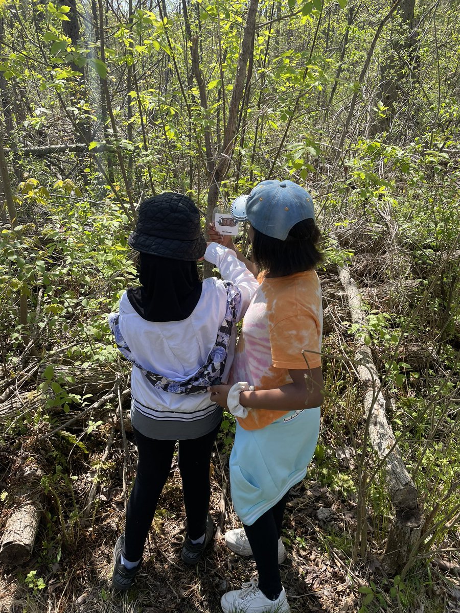 We had the BEST time at Baxter Conservation yesterday!☀️🌳 Students worked together to geocache, build their own shelters, and start their own fires!! <a href="/ThomasMoreOCSB/">St. Thomas More School</a> <a href="/MmeKristina/">Mme Kristina</a>