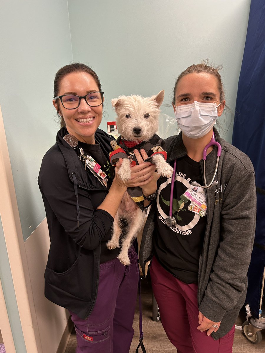 Today on my rounds at Summerlin Hospital I visited with my friend Gabby, saw my friend Nolan and his family, and wished all the nurses a happy #NursesWeek2023
Have a great weekend everyone!
~ Bark🐾
#TherapyDog
#IAmATherapyDog❤️
#PawYouNeedIsLove