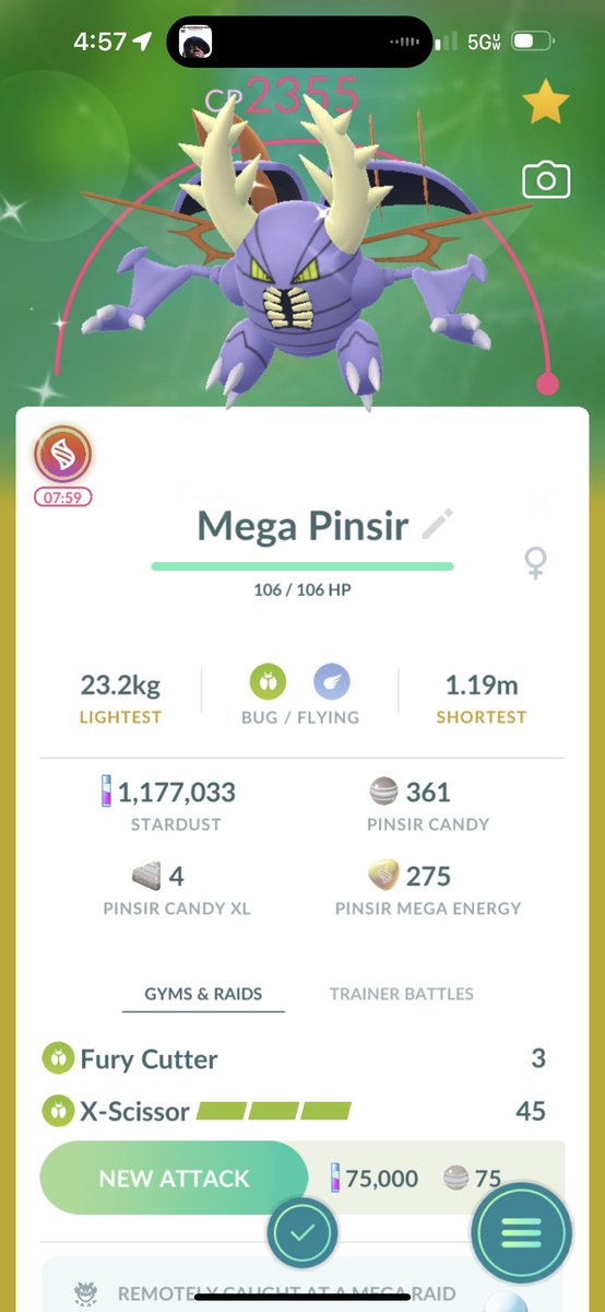 CryptikFeline's tweet image. Shiny Pinsir from a Mega Pinsir raid ! ✨✨#pokemongo #megaraid