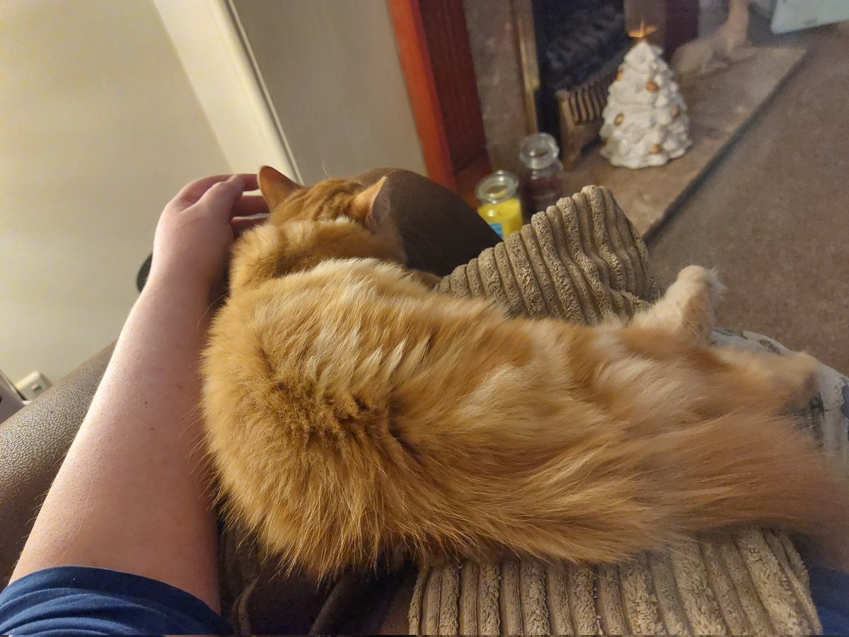 Anna 'Anner' Kaling 🐀 tweet media