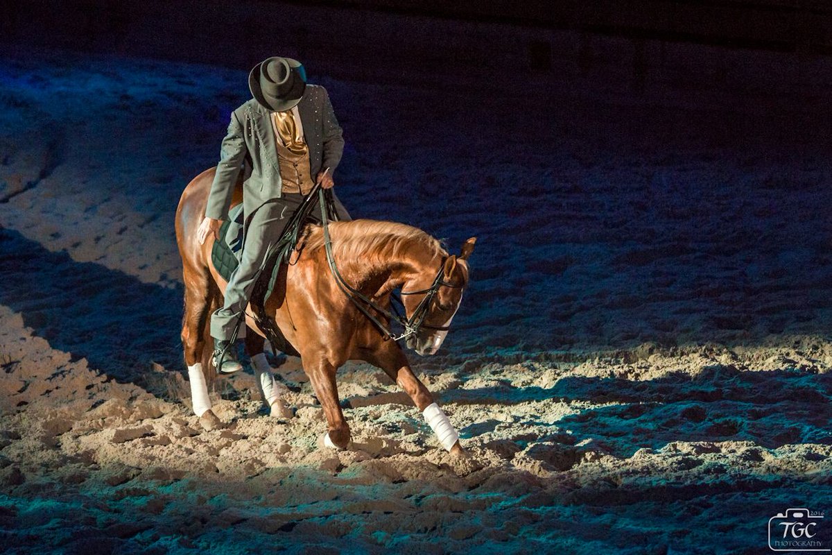 TGCPhoto's tweet photo. If a horse can be polite, so can you.
#HorseLessons
@DollysStampede
#ExploreBranson https://t.co/edwKp6yfe1