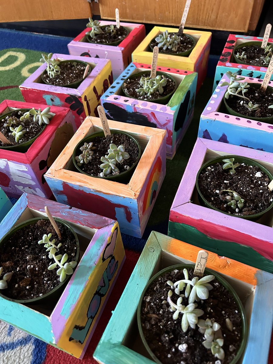 Prince Arthur Community School tweet media