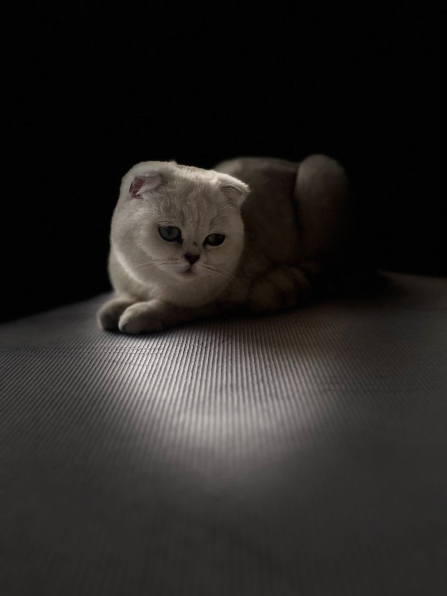 Hüzünlüyüz galiba