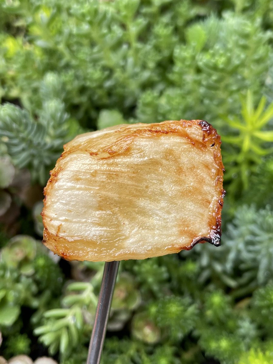 TryHardMommy's tweet image. #SWEETSNACK
I #airfried #pineapple to see if it could substitute for grilled pineapple. Watch what happened when I tasted the experiment.

#HealthyMeals #FamilyMeals #EasyCooking #HealthyCooking #EasyMeals #Family