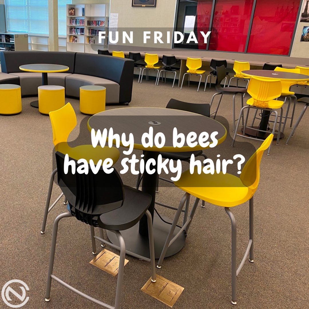 Happy Friday!!!

A: Because they use a honeycomb🐝🍯

#culvernewlin #funfriday