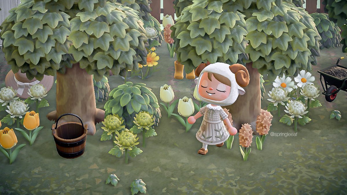 sneak peak of a new build 🌱🌼🧺🪿

#ACNH #AnimalCrossing #acnh #acnhinspo