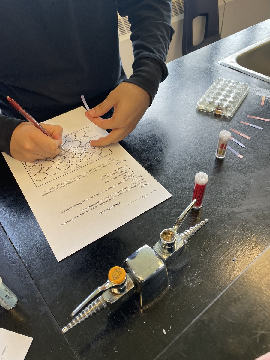Working hard in Grade 10 science, testing out different acid-base indicators. The goal was to create as many colours as possible using a variety of items.