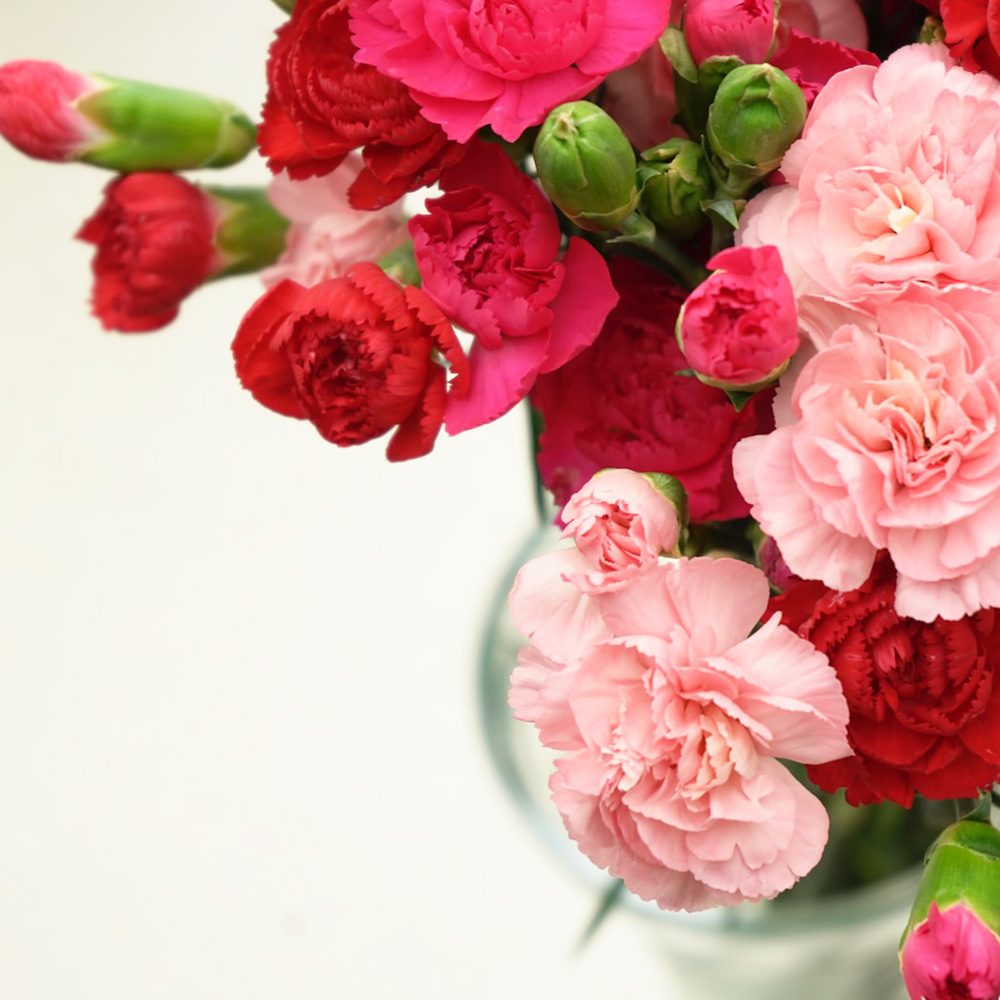 Esteban Paris USA tweet media