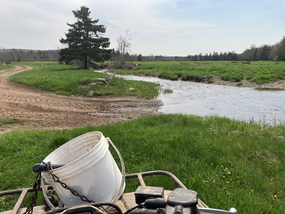 GilbertMatheson's tweet photo. Another beautiful day! Nadia and Laughlin had great fun playing in the brook. https://t.co/J2Ft16fwGq