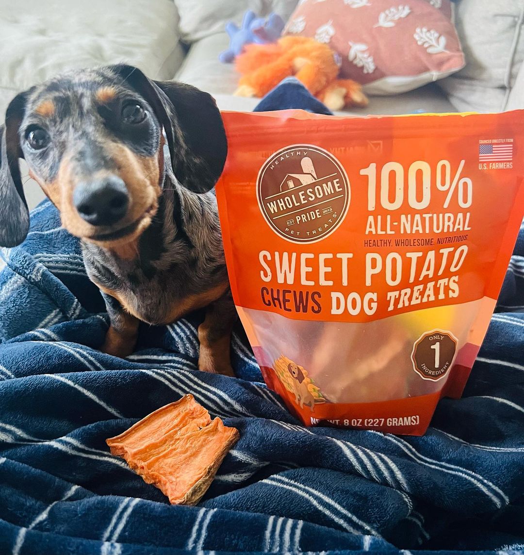"I'm spending my mornin chewin on some #WholesomePride Sweet Potatoes! They're my fav 😋🍠"

Get yours today: linktr.ee/wholesompride 🔗
(📸: willietheminiwiener)
#WholesomePride #DogsofTwitter #RaiseTheWoof
