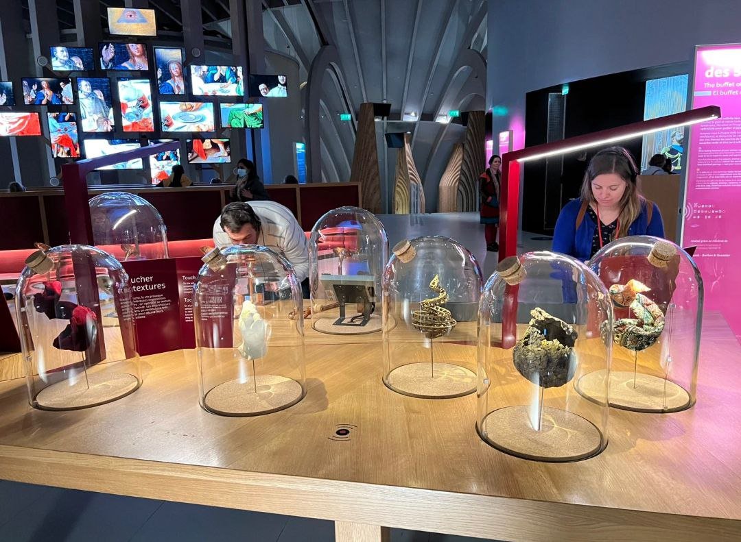 CBaxter4's tweet photo. I went to the Bordeaux Wine Museum once a long time ago and loved the sense of atmosphere. @BordeauxWines
#Rometta  
#Milan
#KingCharles
#rememberingdylancallaghan
#monaco
#frenchriviera
#luxury
#luxuryhomes
#luxuryliving
#montecarlo
#Wine 
#Bordeauxwines https://t.co/42ac9bbirY