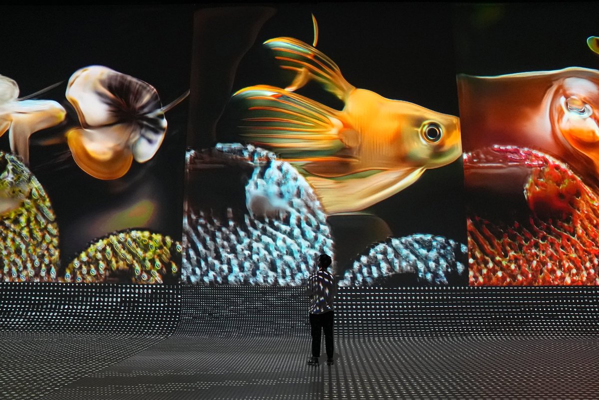 Natasha Greenhalgh tweet media