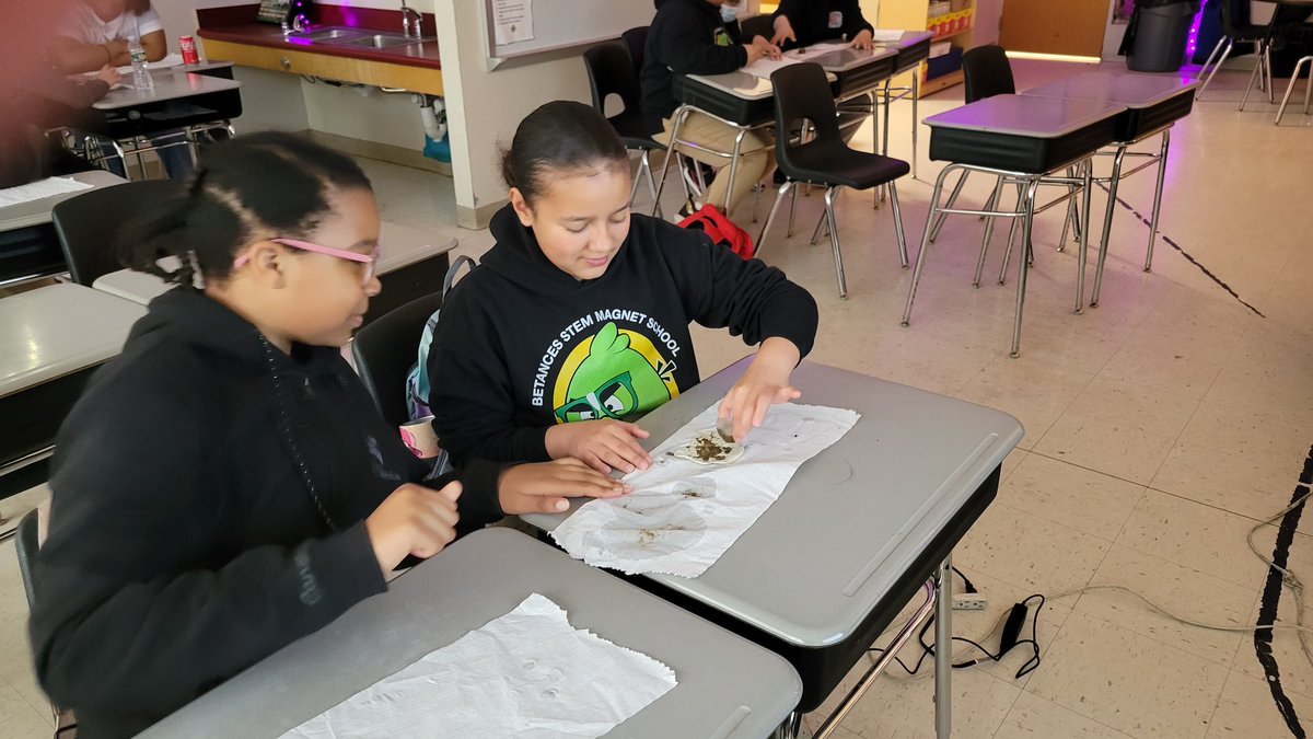 BSTEM5thgrade's tweet photo. Students explored how glaciers move and change the land with their own mini-glaciers! @BSTEMhartford @PrincipalBSTEM https://t.co/oDaodgPFqd