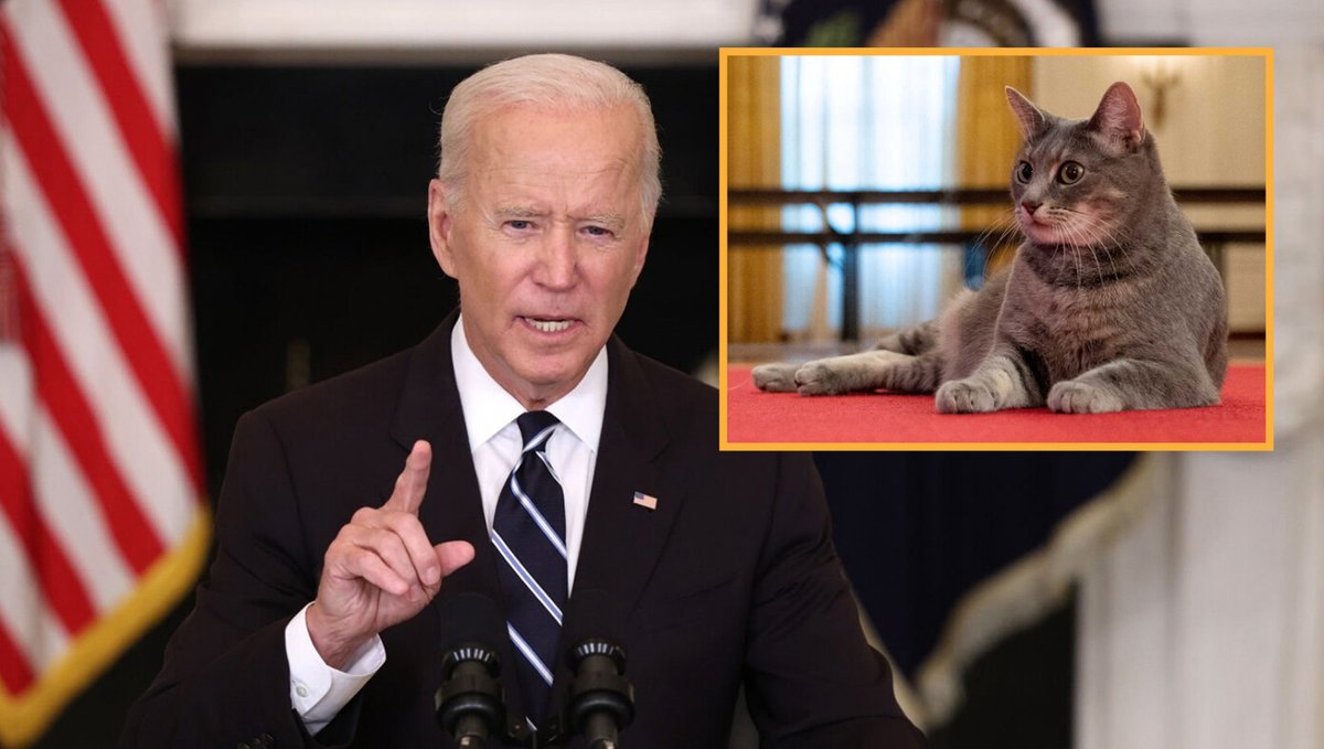 Biden Says $10 Million Payment From Romania To His Cat Is Totally Legitimate buff.ly/42SIAJk