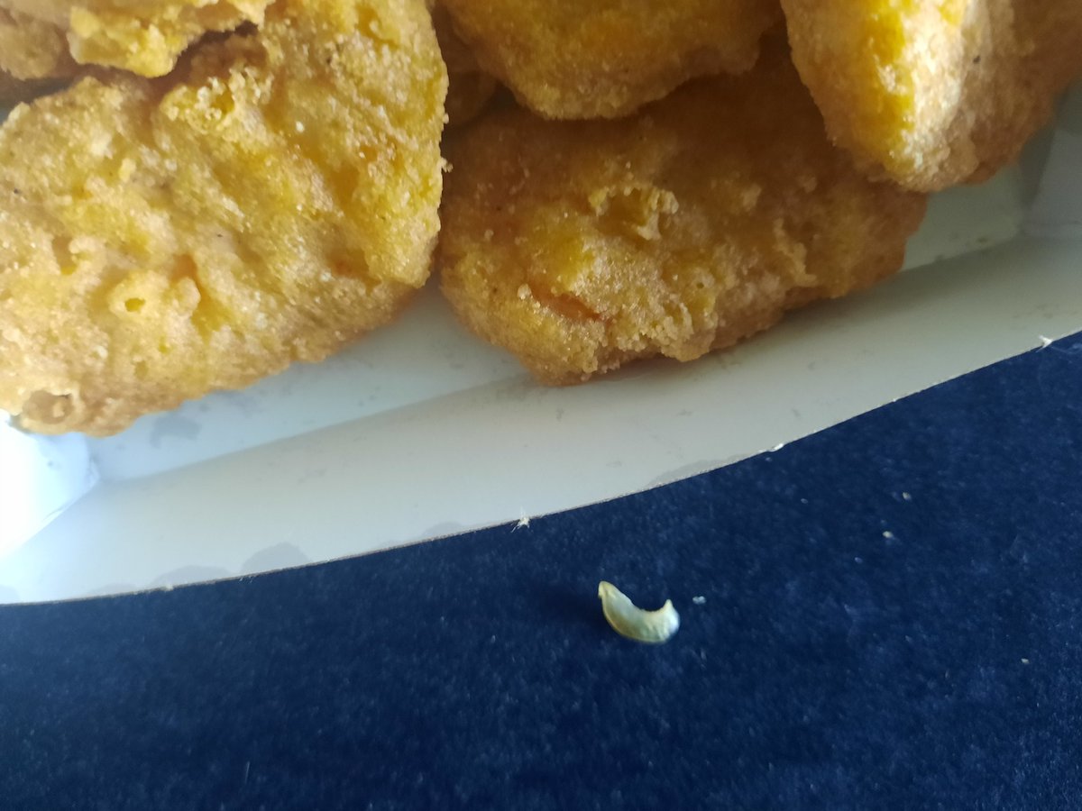 C00kie_DOH's tweet photo. Halfway into nugget #3 yesterday evening, bit into something strange, pulled this piece of what I think is PLASTIC?! from inside the center of the nugget I was eating. #Montana #McDonalds #choking #hazard #warning #gross #NeverAgain #NotLovinIt #McNugget #NotChicken https://t.co/Joq4Akg8eC