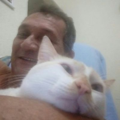 EMarmach's tweet photo. @Gurgel48970486 @brunette1119 https://t.co/9RTBOI920A