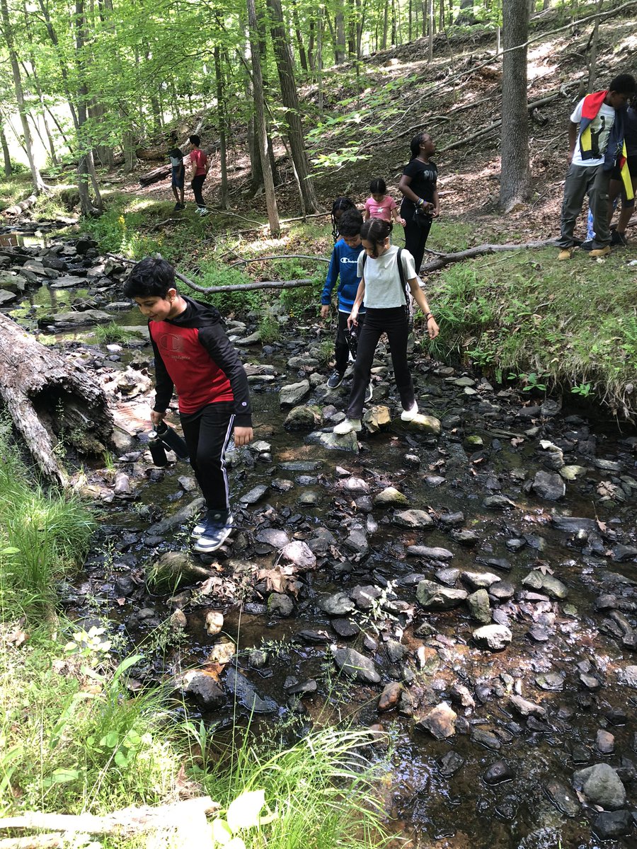 Mr. Myer (@mrmyerteaches) on Twitter photo Our fifth grade BioBlitz was simply spectacular! I love seeing our young ones getting an opportunity to explore their local ecosystem! <a href="/JohnnycakeElem/">JohnnycakeElem</a> Our fifth grade BioBlitz was simply spectacular! I love seeing our young ones getting an opportunity to explore their local ecosystem! <a href="/JohnnycakeElem/">JohnnycakeElem</a>