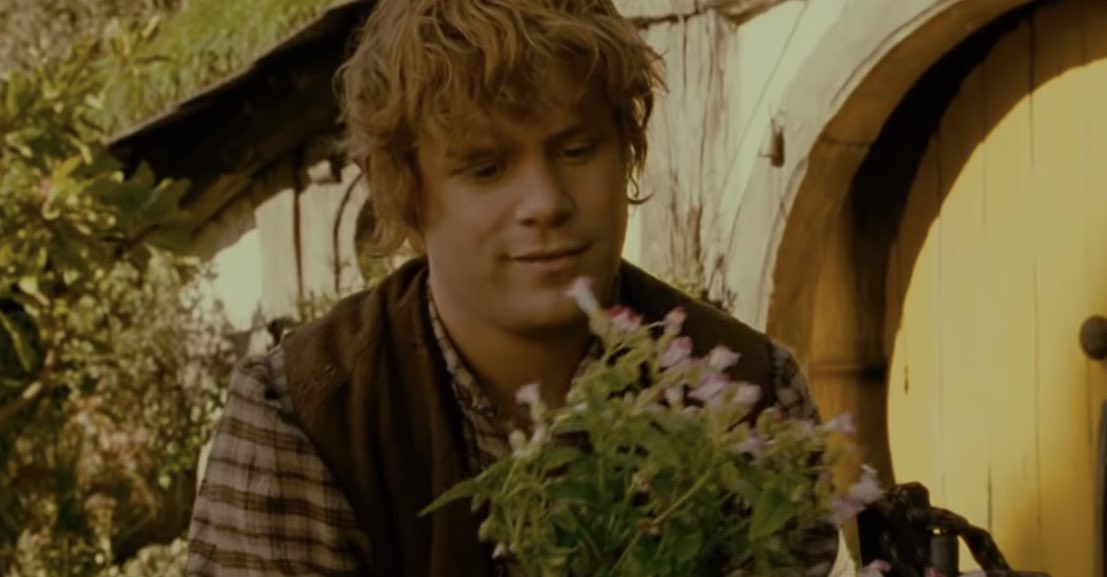 myelessar's tweet photo. it is no bad thing to celebrate a simple life https://t.co/FufBoLDppc