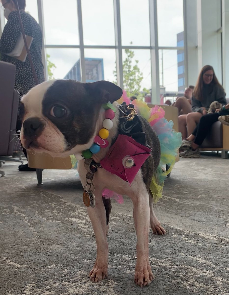 LSUHSC NOLA Graduate Studies tweet media